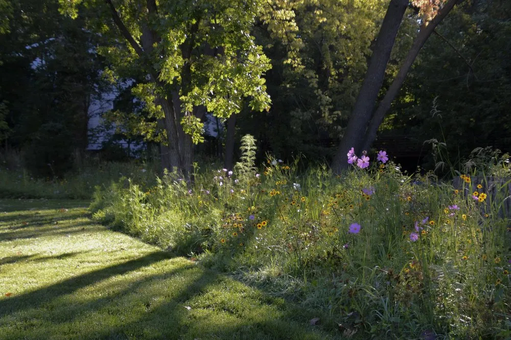 Reliable garden landscaping in Bloomington, MN by Organic Lawns by Lunseth