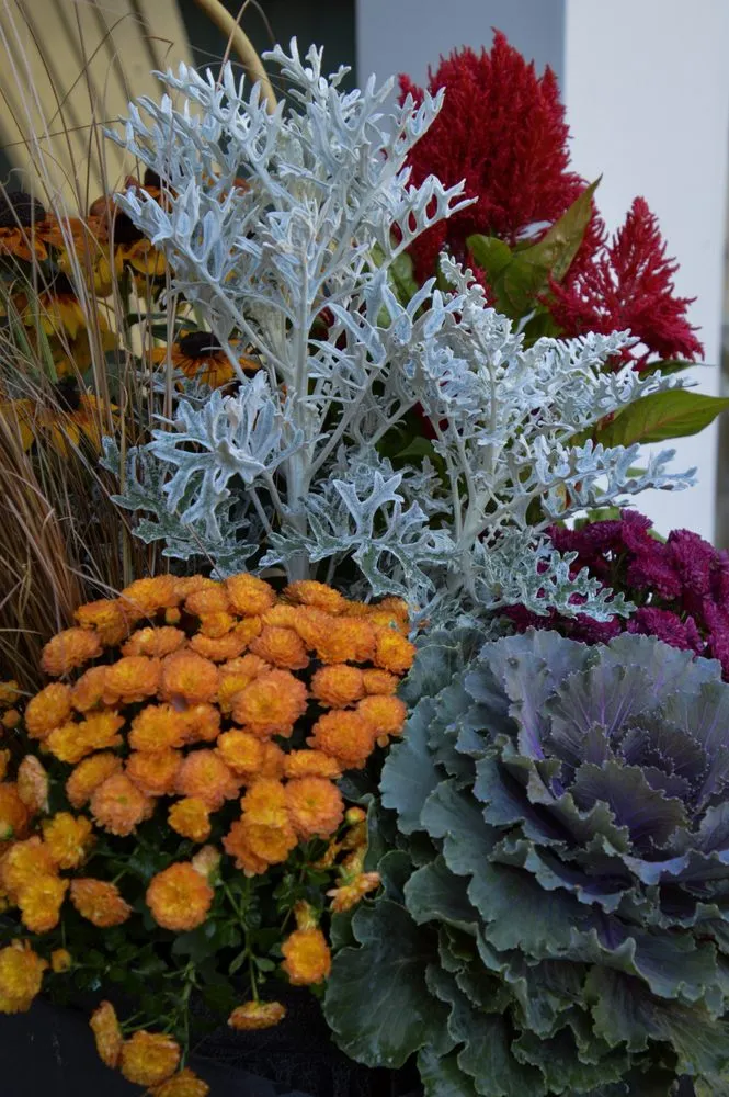 Custom lawn mowing service for beautiful yards in Bloomington, MN by Organic Lawns by Lunseth