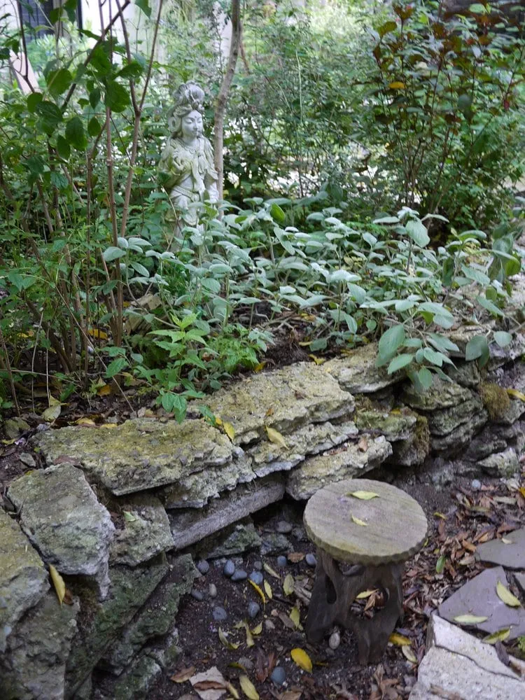 Expert yard maintenance in San Francisco, CA by Organic Mechanics