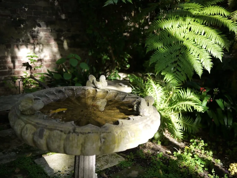 Top-rated lawn mowing service for outdoor upgrades in San Francisco, CA by Organic Mechanics