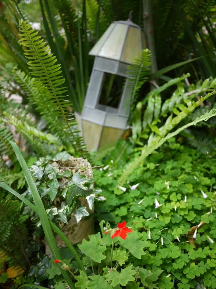 Top-rated outdoor landscaping for outdoor upgrades across San Francisco, CA - Organic Mechanics