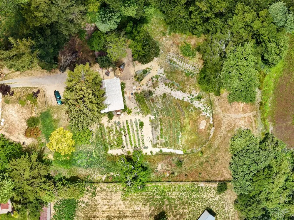 Top-rated lawn care service in San Francisco, CA - Organic Motifs