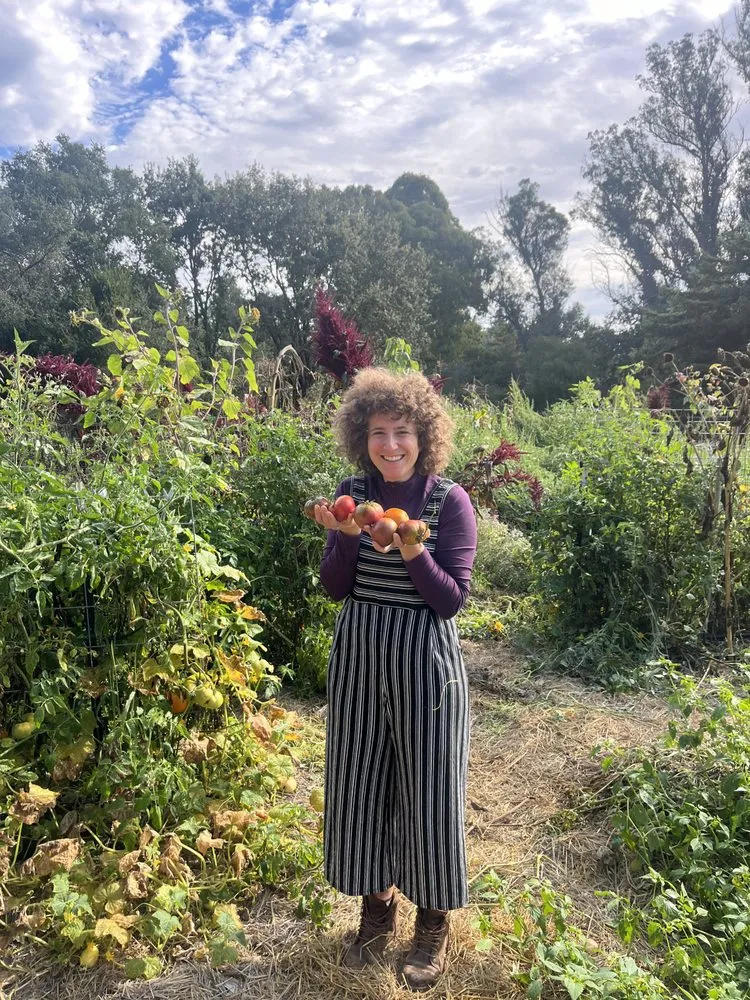 Reliable landscape design near you across San Francisco, CA - Organic Motifs