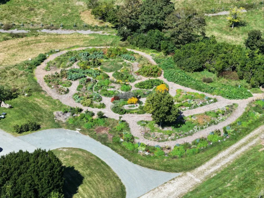 Reliable landscape design for beautiful yards across San Francisco, CA - Organic Motifs