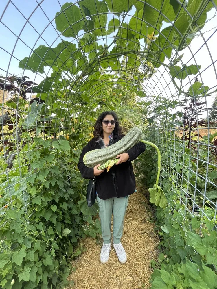 Local yard cleanup service experts serving San Francisco, CA - Organic Motifs