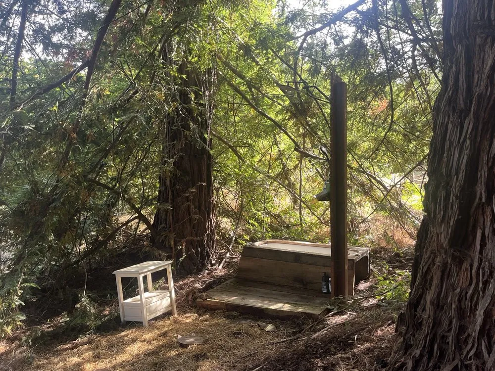 Local yard maintenance experts serving San Francisco, CA - Organic Motifs