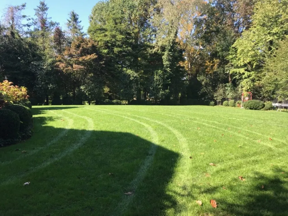 Local outdoor landscaping for residential properties in Danbury, CT by Organic Nature Lawn
