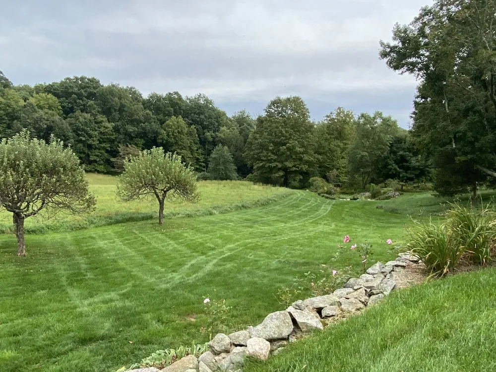 Local lawn mowing service experts serving Danbury, CT - Organic Nature Lawn