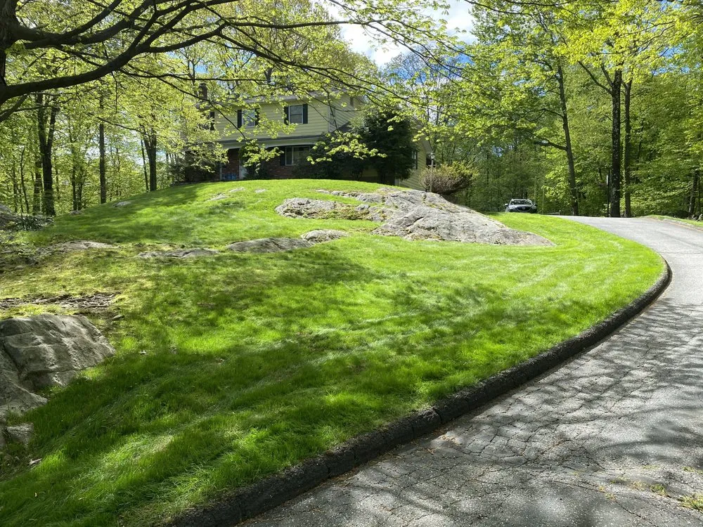 Trusted landscape design in Danbury, CT - Organic Nature Lawn