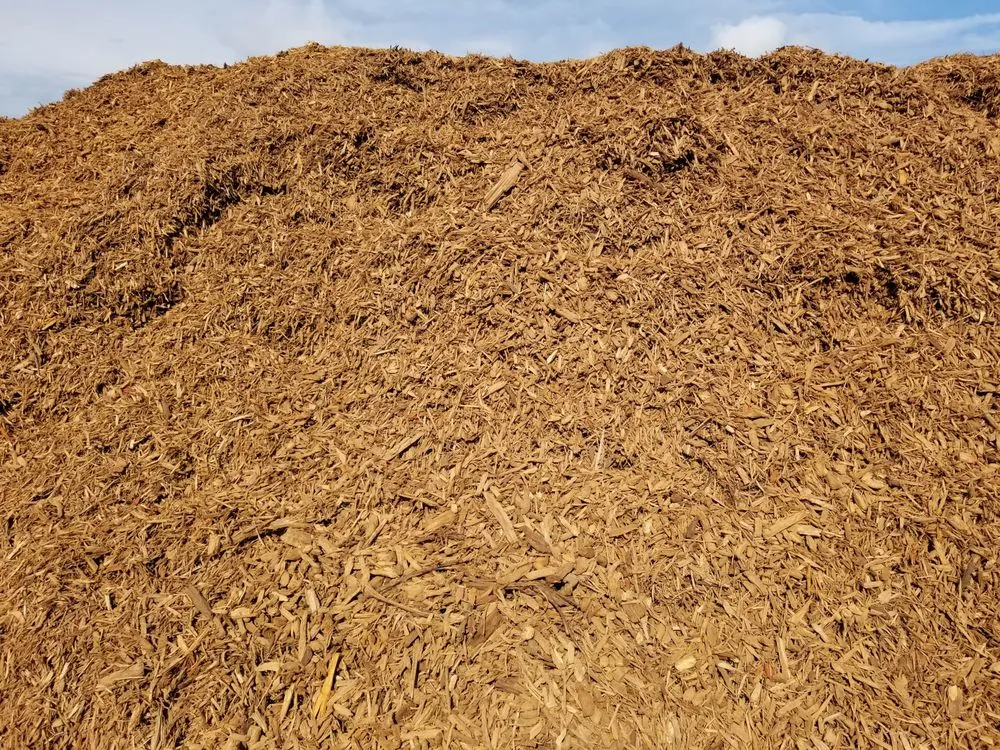 Expert residential landscaping with custom design in New Port Richey, FL by Organic Raised Garden Beds & Compost Supply