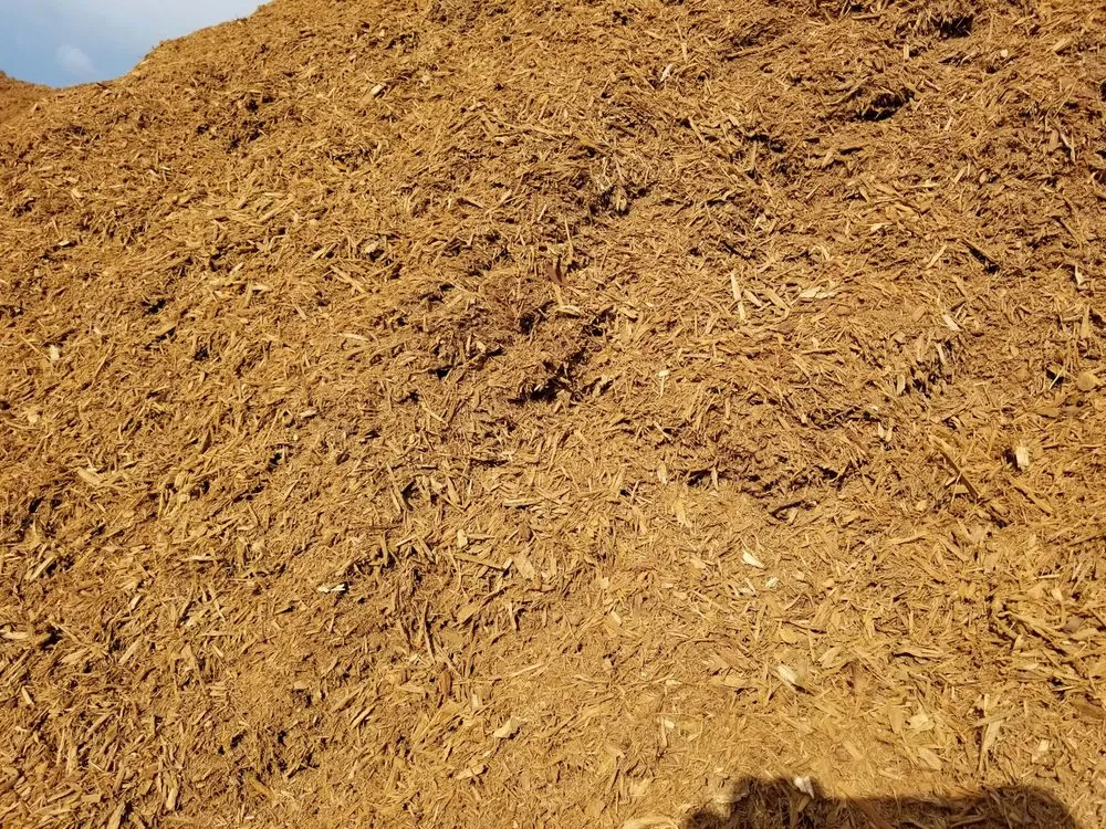 Custom yard maintenance in New Port Richey, FL - Organic Raised Garden Beds & Compost Supply