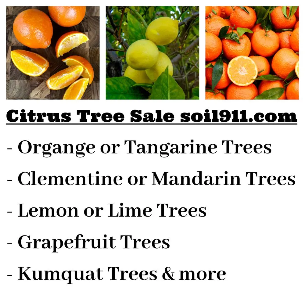 Expert landscaping services in New Port Richey, FL by Organic Raised Garden Beds & Compost Supply