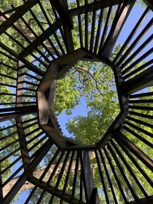 Organic Roots Horticulture Logo