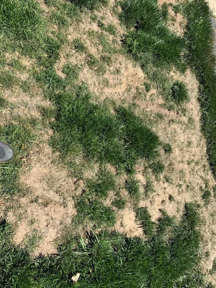 Local landscape design for homes across Nampa, ID - Organic Solutions