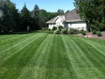 Expert residential landscaping for beautiful yards across Nampa, ID - Organic Solutions
