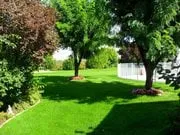 Professional lawn care service in Nampa, ID - Organic Solutions