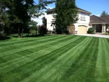 Professional landscape installation in Nampa, ID by Organic Solutions