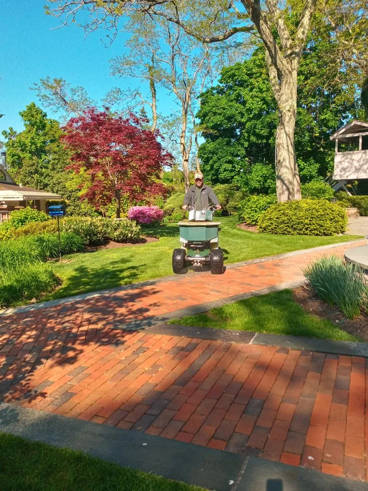 Affordable lawn mowing service experts serving Port Washington, NY - Organic Solutions