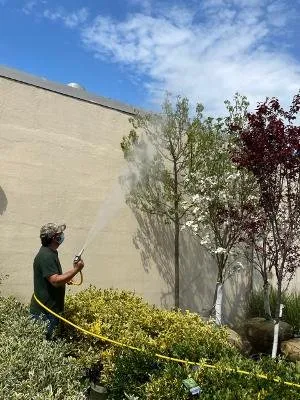 Affordable lawn mowing service for year-round maintenance across Port Washington, NY - Organic Solutions