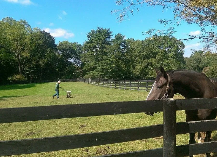 Affordable landscaping services for homes in Massapequa, NY by Organic Solutions Tree & Lawn