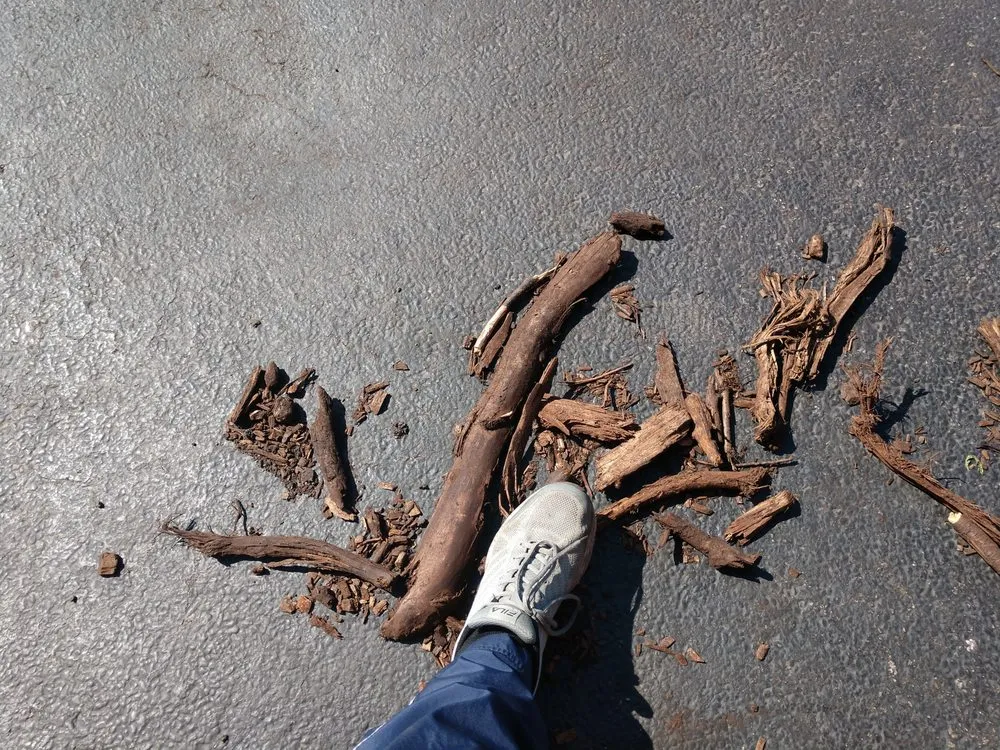 Top-rated garden landscaping in Wauconda, IL - Organic Solutions