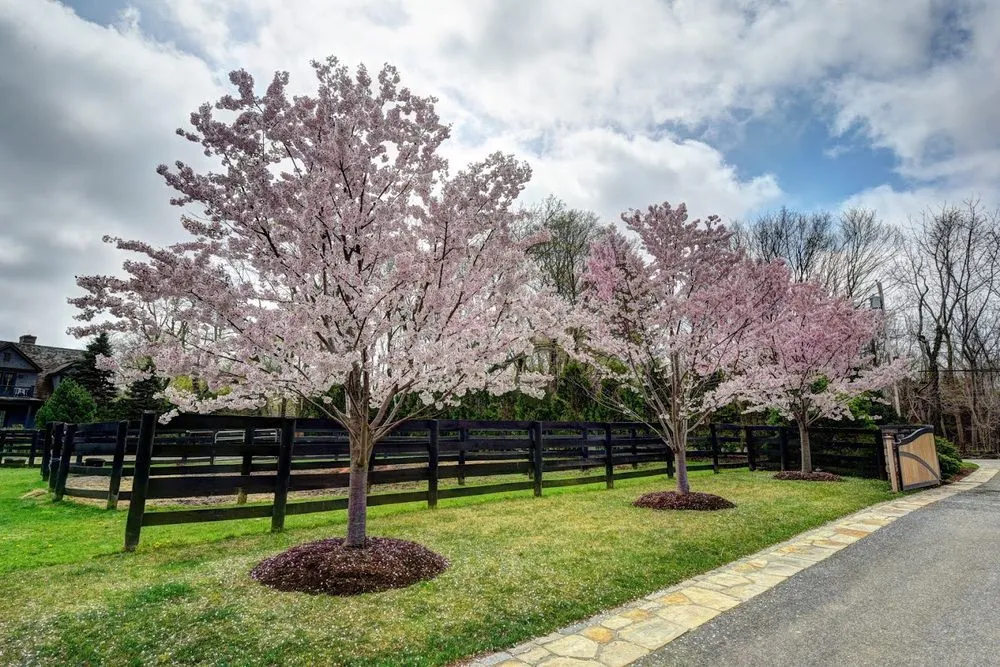 Local lawn mowing service experts serving Port Jefferson, NY - Organically Green
