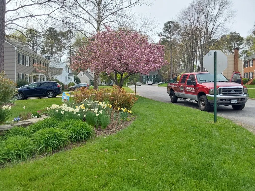 Expert residential landscaping for beautiful yards across Ashland, VA - Organicare
