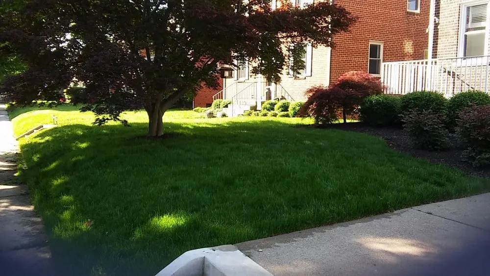 Affordable garden landscaping for residential properties across Ashland, VA - Organicare