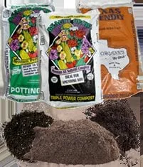 Professional lawn mowing service in Austin, TX by Organics By Gosh