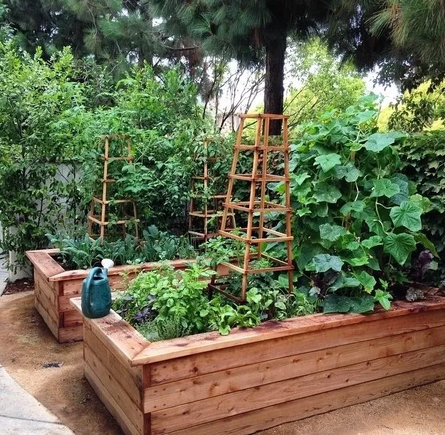 Top-rated landscape design near you in San Clemente, CA by Organics Out Back