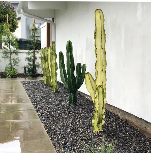 Custom lawn care service experts serving San Clemente, CA - Organics Out Back