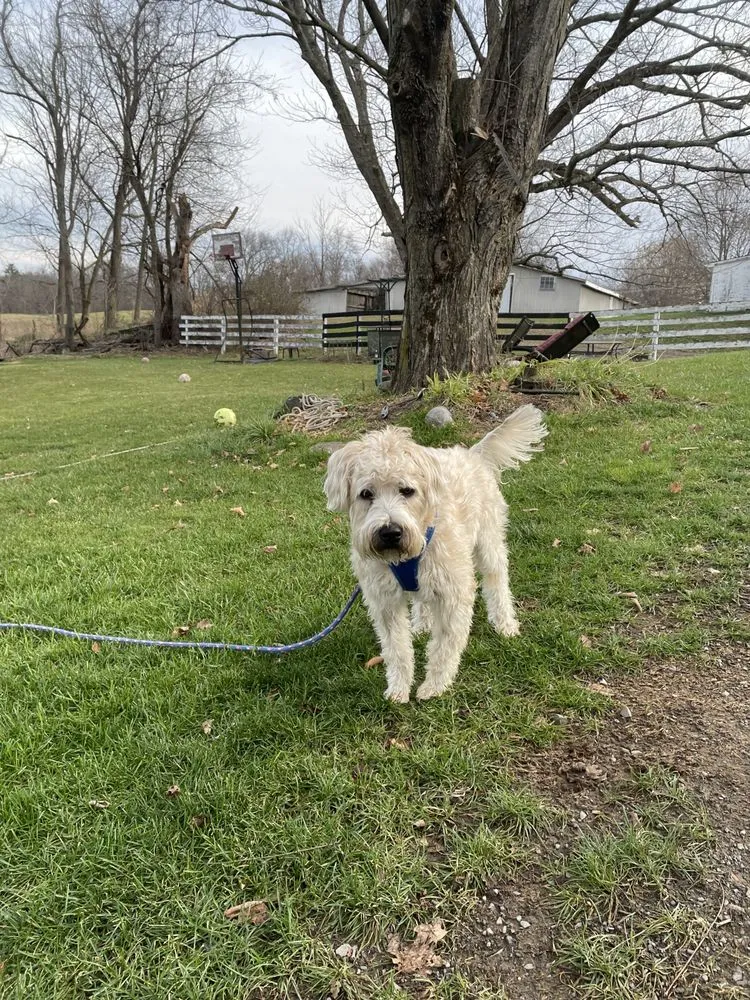 Affordable landscape design for beautiful yards across Campbell Hall, NY - Organicscape Lawn & Shrub Care