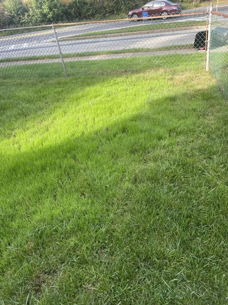 Top-rated landscaping services with custom design in Campbell Hall, NY by Organicscape Lawn & Shrub Care