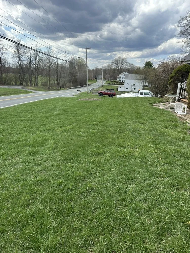 Expert yard cleanup service in Campbell Hall, NY by Organicscape Lawn & Shrub Care