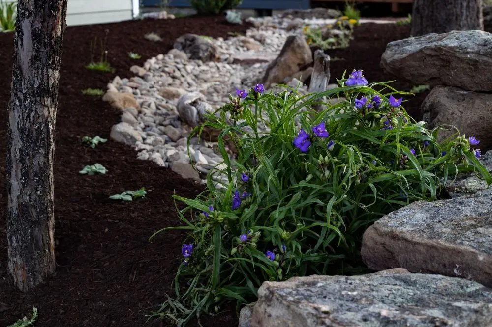 Affordable landscaping services in Bend, OR by Organicscapes