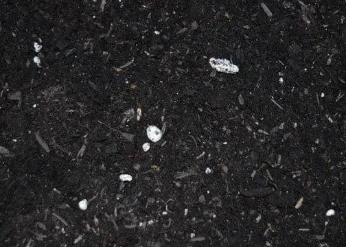 Custom landscape design in Colusa, CA - Organix Unlimited