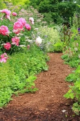 Affordable landscaping services experts serving Colusa, CA - Organix Unlimited