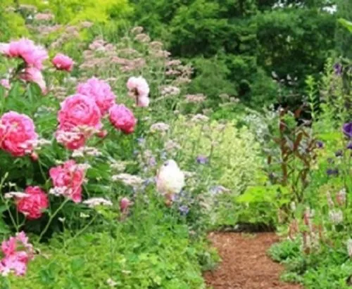 Affordable yard cleanup service near you in Colusa, CA by Organix Unlimited