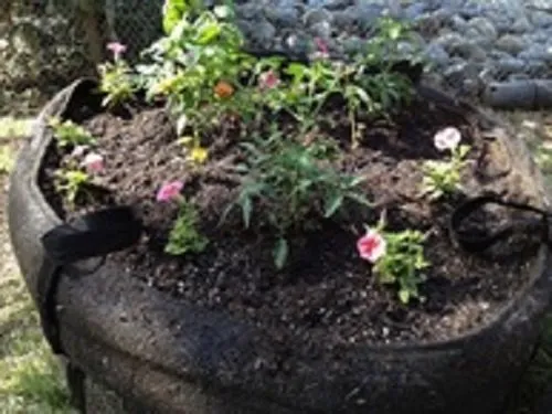 Custom outdoor landscaping experts serving Colusa, CA - Organix Unlimited