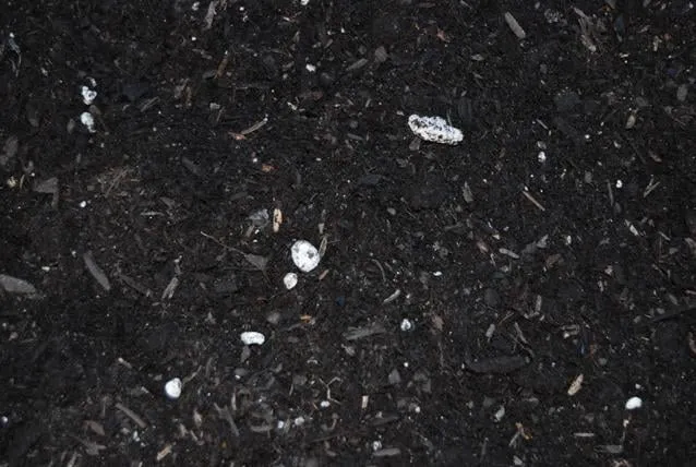 Reliable lawn mowing service experts serving Colusa, CA - Organix Unlimited