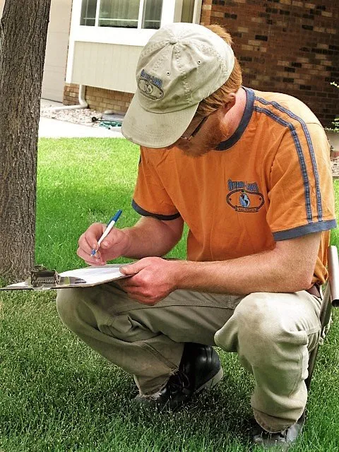 Professional yard maintenance for beautiful yards across Boulder, CO - Organo Lawn