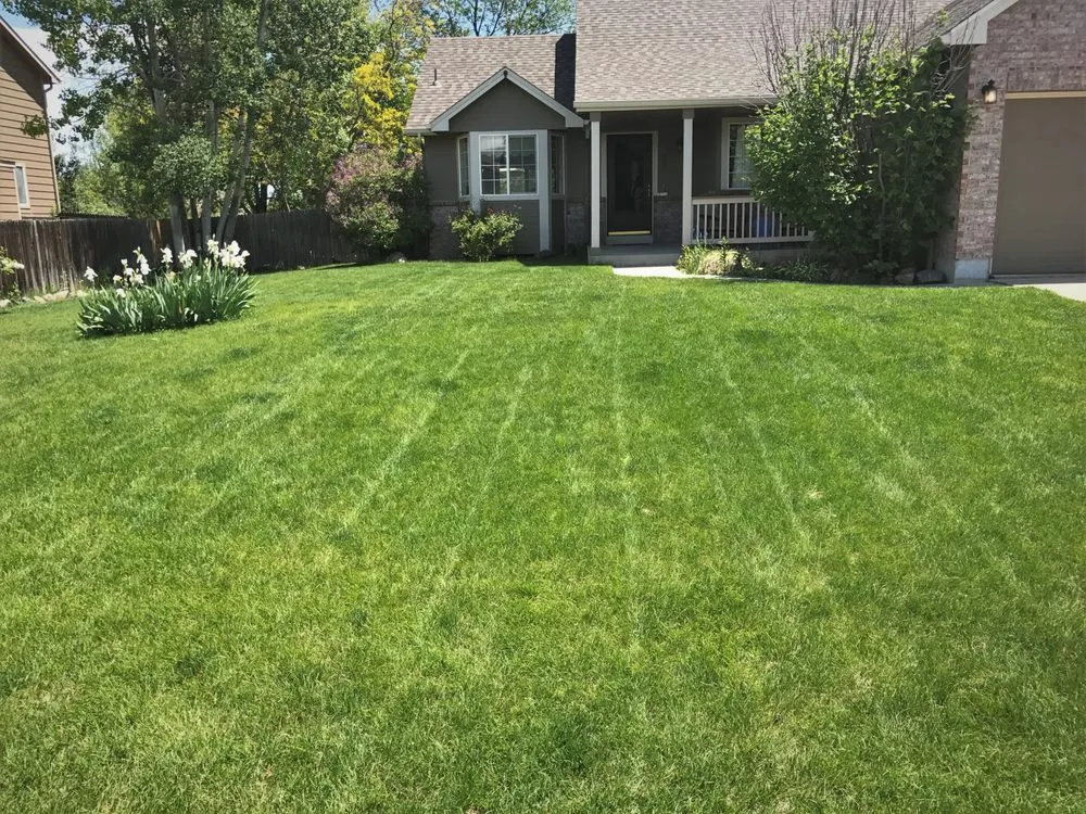 Top-rated garden landscaping in Boulder, CO - Organo Lawn