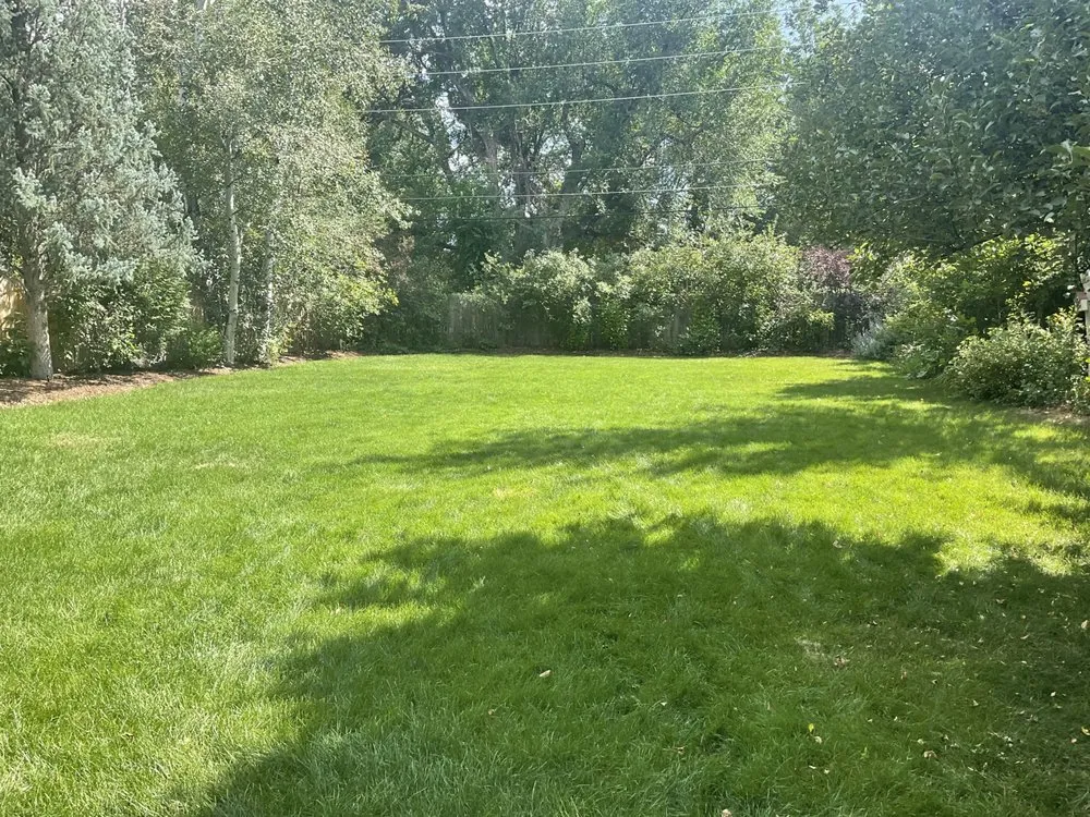 Trusted yard maintenance in Boulder, CO by Organo Lawn