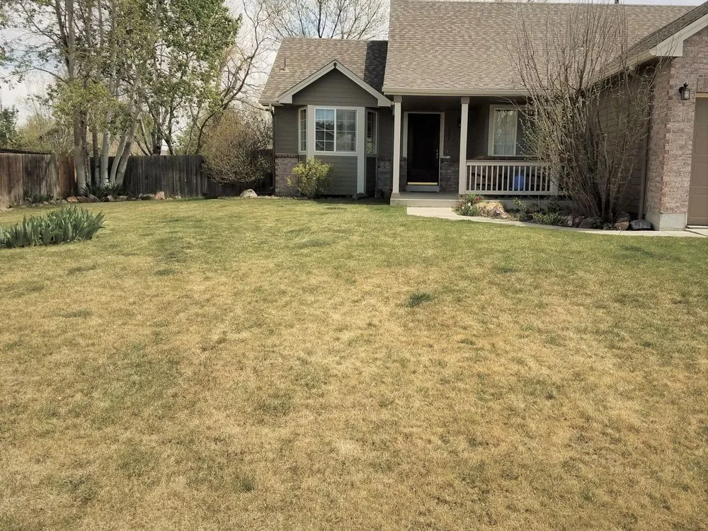 Affordable lawn mowing service experts serving Boulder, CO - Organo Lawn