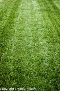 Reliable lawn mowing service with custom design across Boulder, CO - Organo Lawn