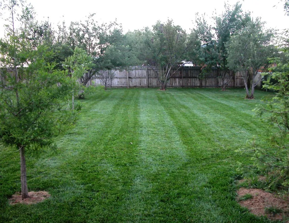 Professional landscaping services in Boulder, CO - Organo Lawn