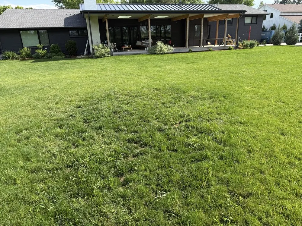 Reliable garden landscaping experts serving Boulder, CO - Organo Lawn