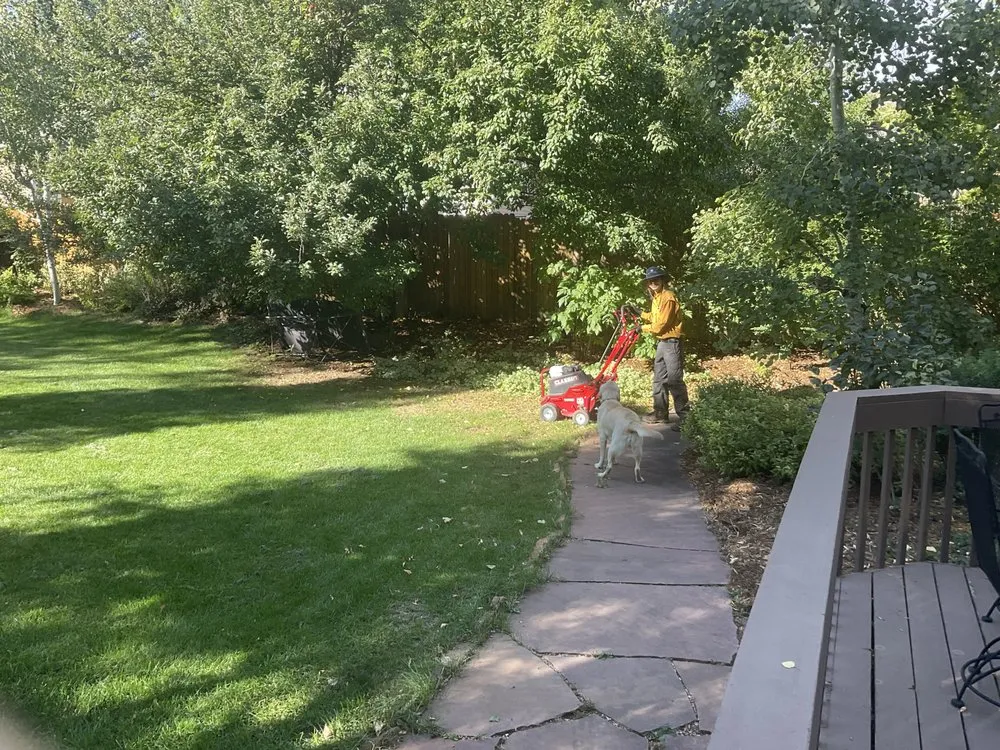 Professional landscape installation with custom design in Boulder, CO by Organo Lawn