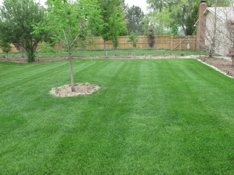 Custom outdoor landscaping in Fort Collins, CO - Organo-Lawn of Fort Collins