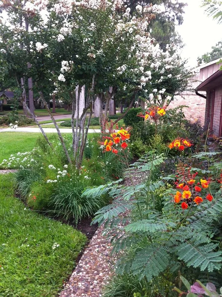 Expert yard maintenance in Richmond, TX by Organoscapes